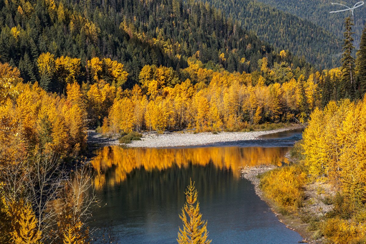 Природа лес осень Кузбасса