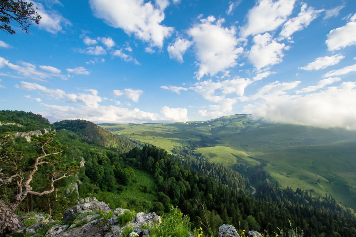 Адыгея горы Лагонаки. Белоречка