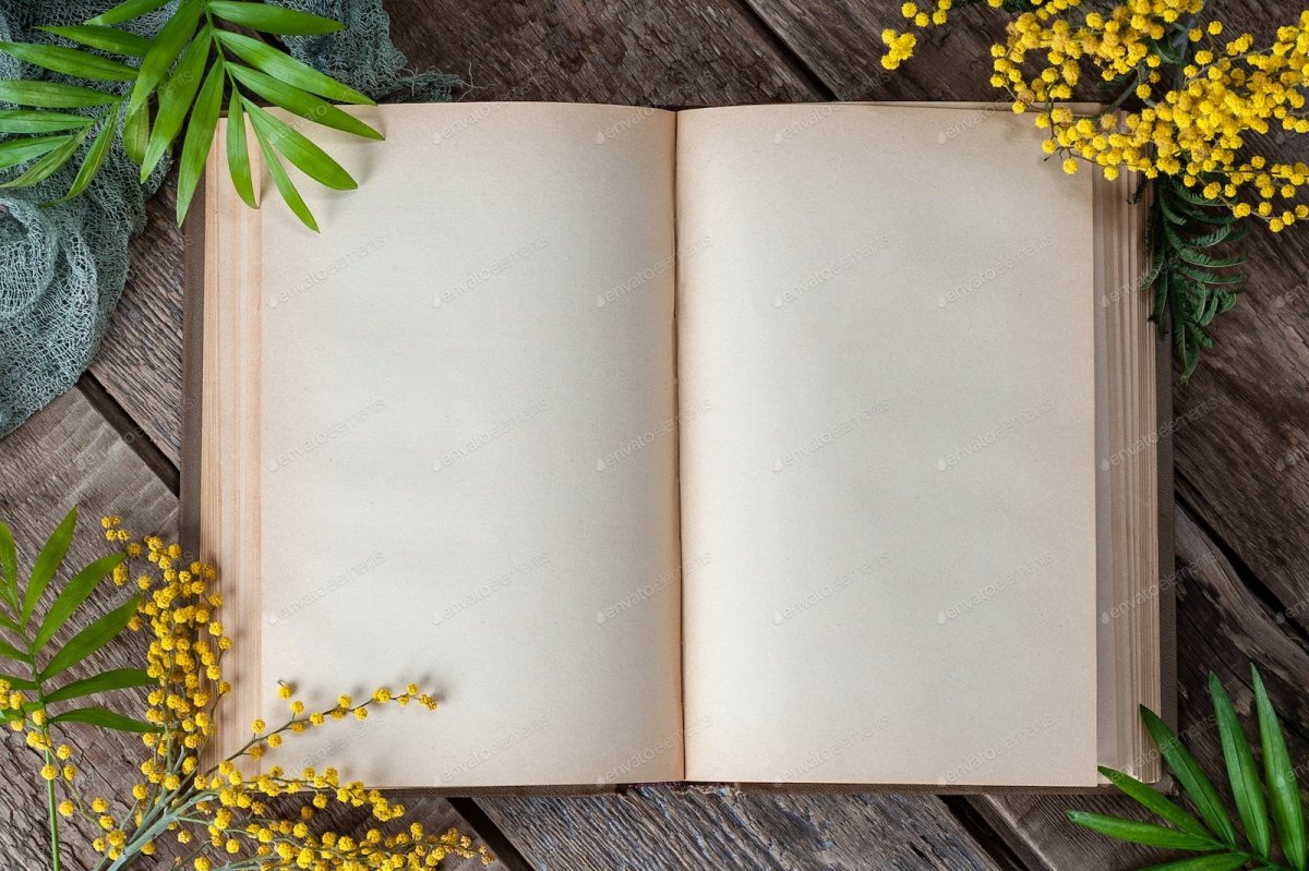 Раскрытая книга с пустыми страницами