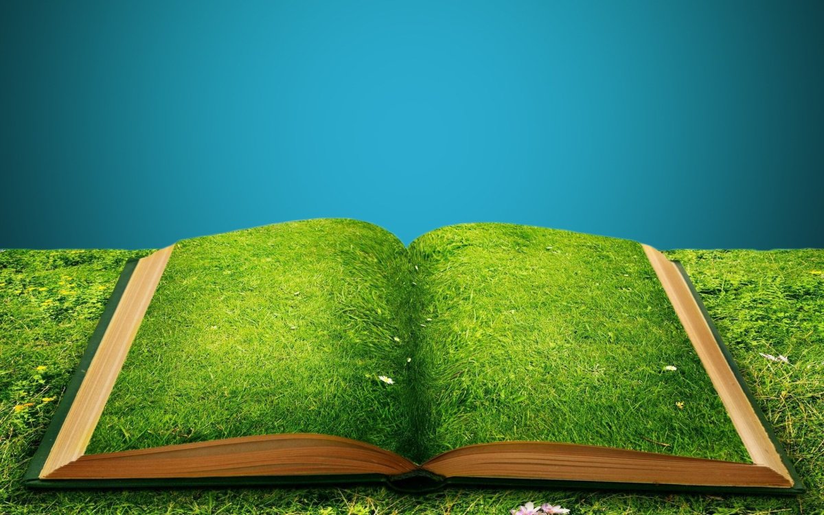 Книжный фон