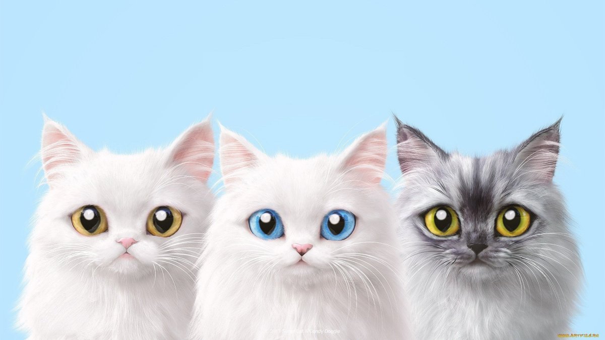Красивый фон с котиками