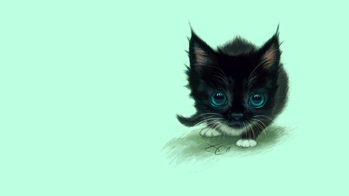 Котенок на однотонном фоне