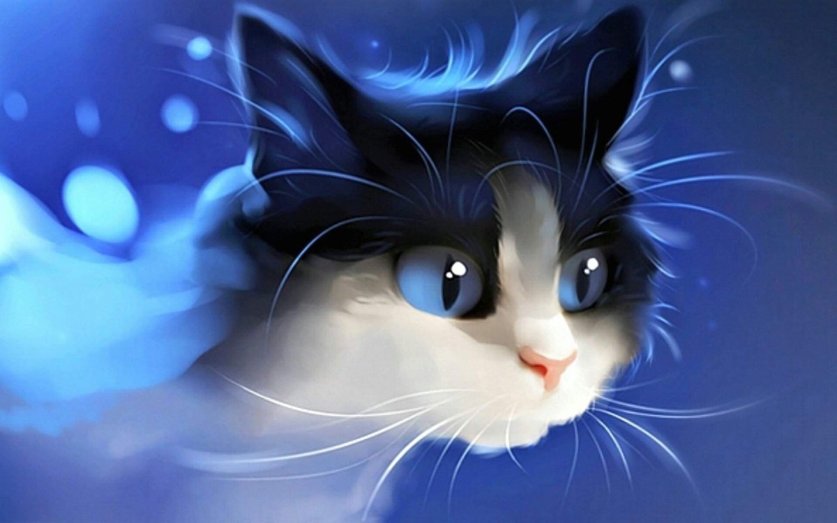 Аватарки кошки