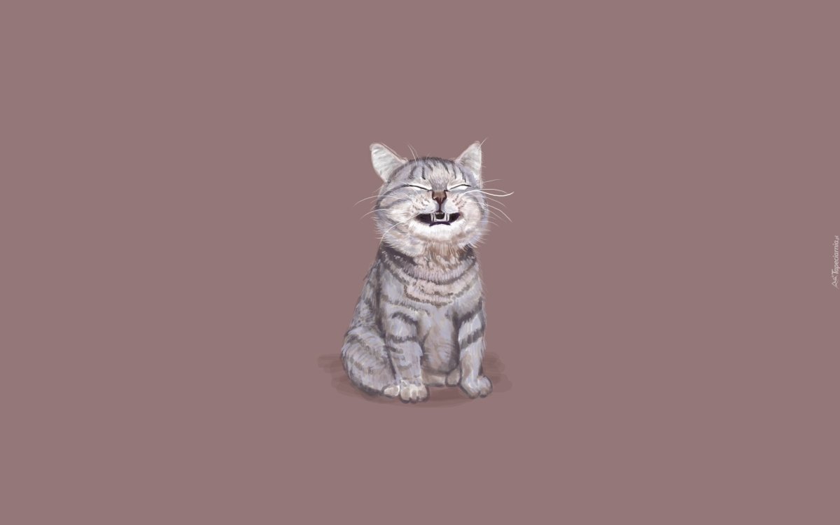Котик Минимализм