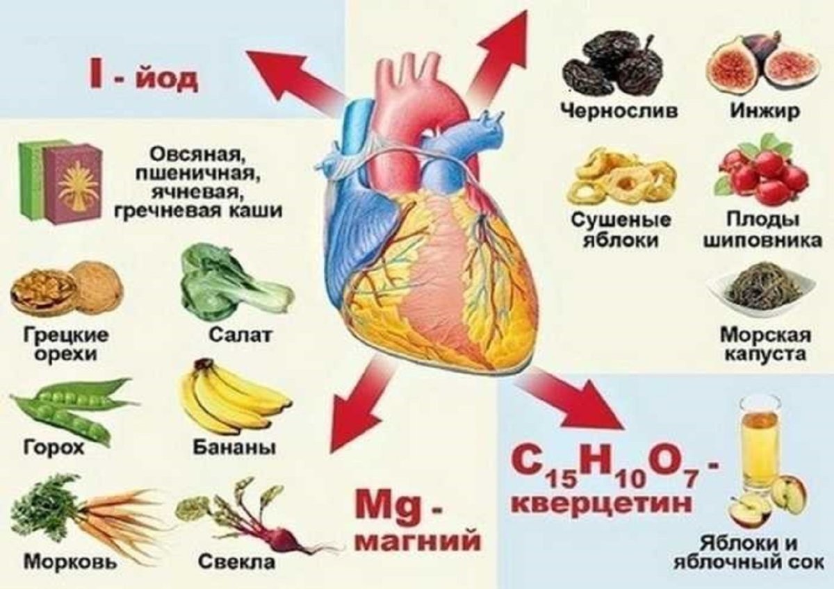 Полезная еда для сердца и сосудов