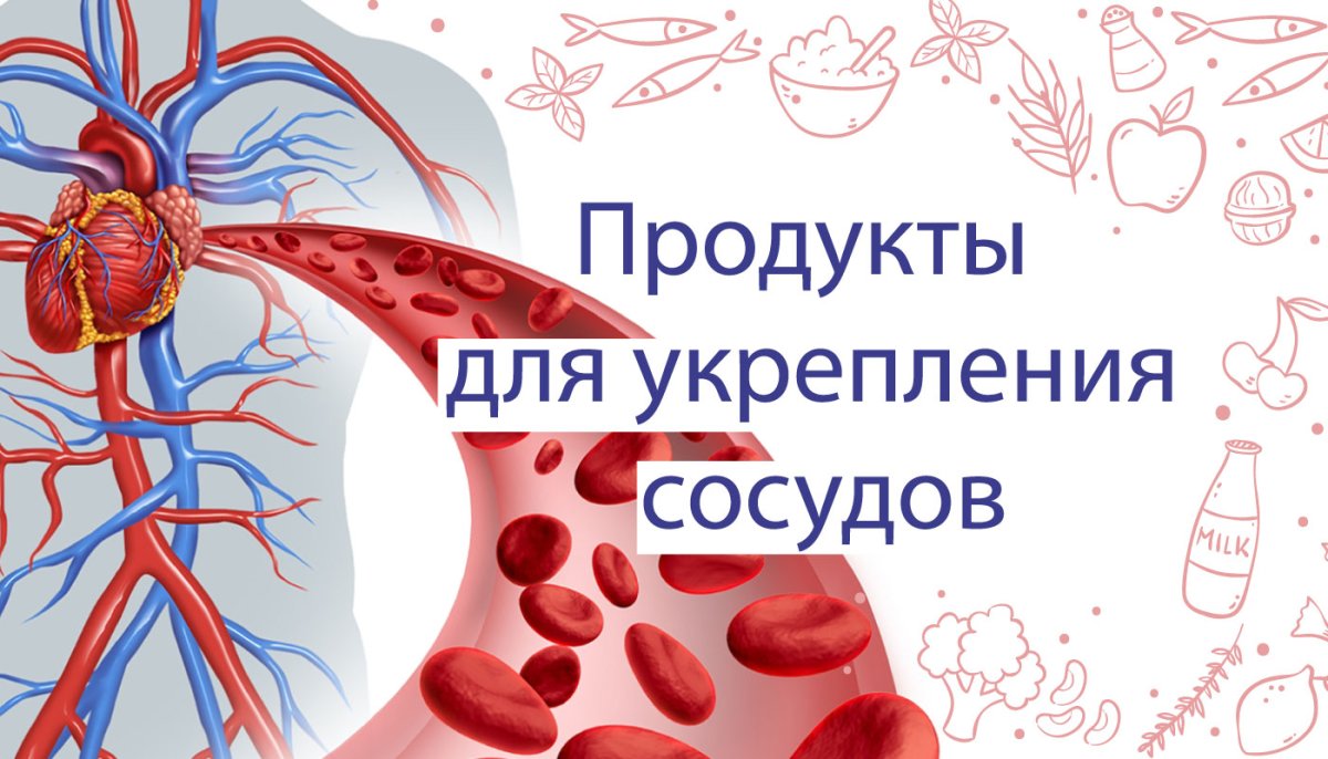 Продукты для укрепления кровеносных сосудов