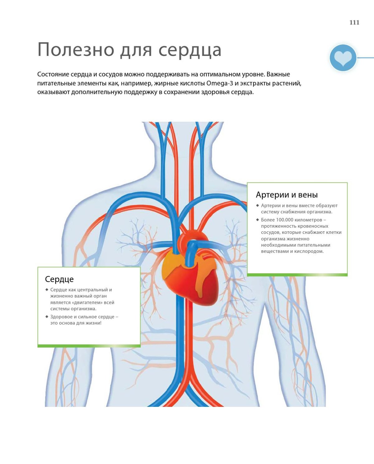 Полезное для сердца и сосудов