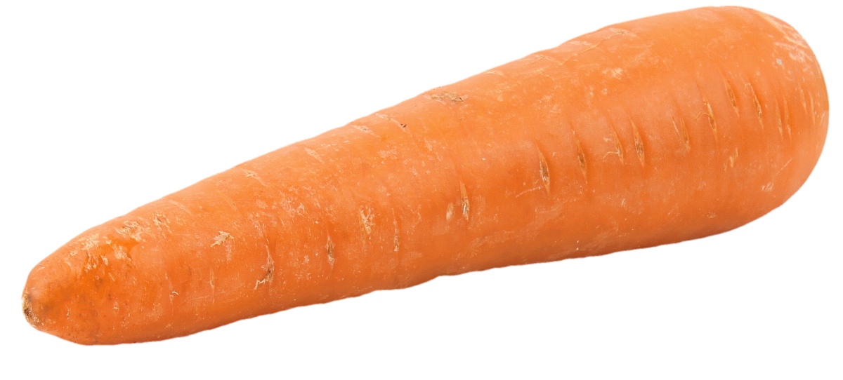 Морковь на белом фоне