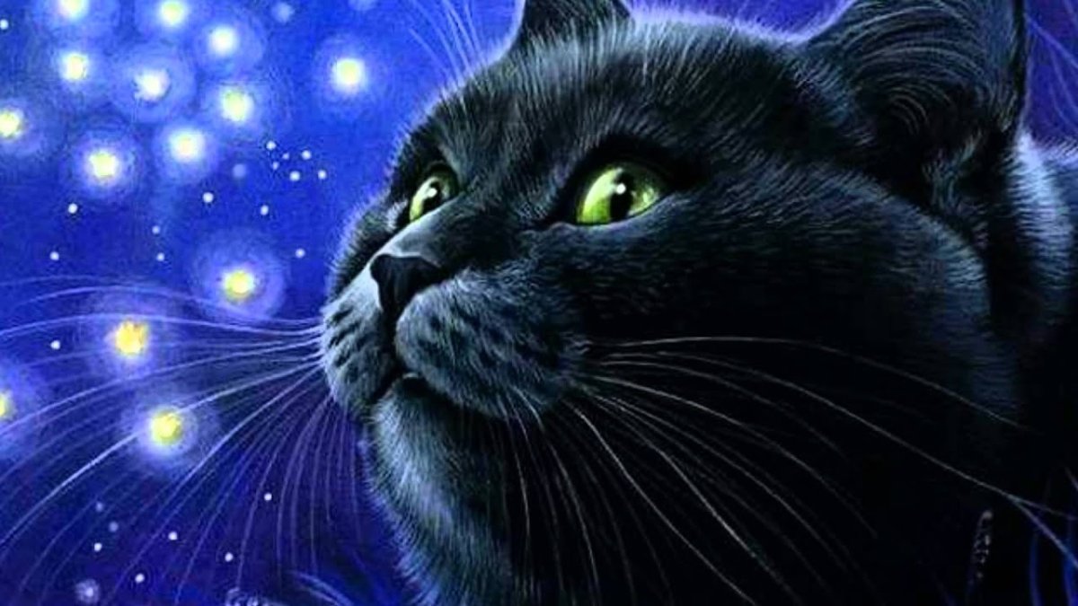 Чёрные коты Ирины Гармашовой